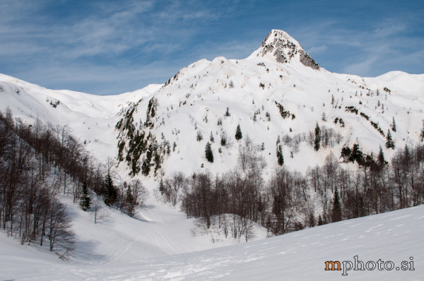 Rodica-4378