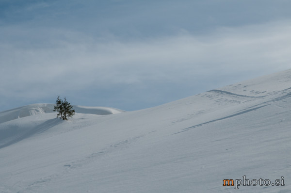 Rodica-4382