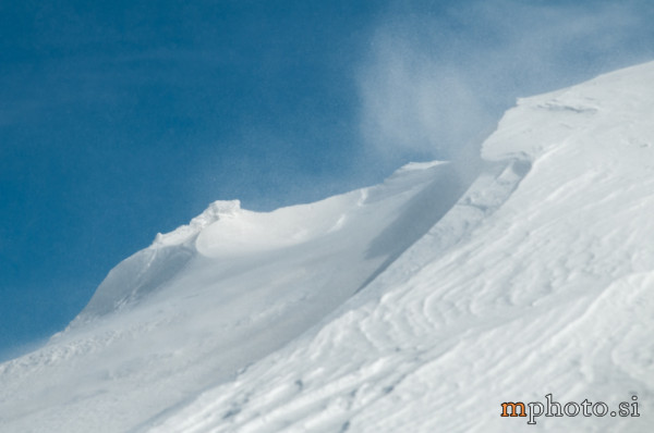 Rodica-4458