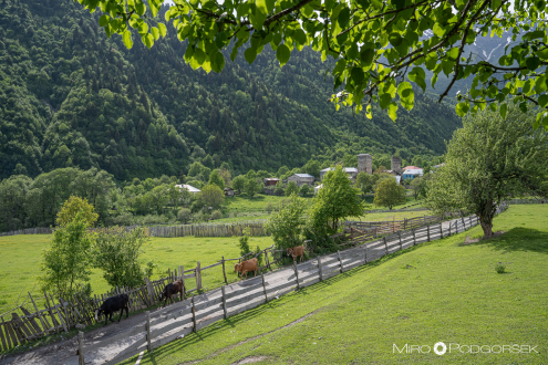 Nashtkoli