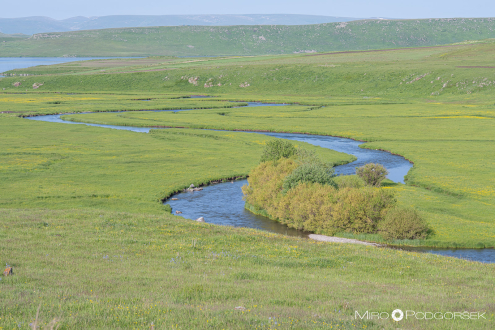 Reka Paravani na poti v jezero Saghamo