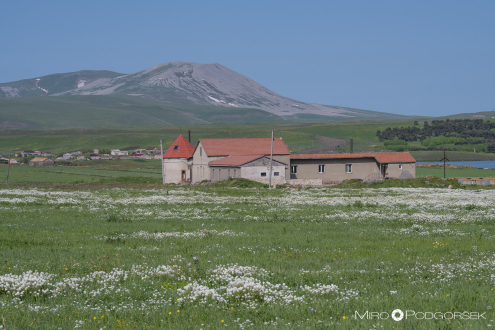 Poka St. Nino Monastery