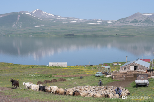 Jezero Paravani