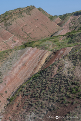 Barvite sipine Gareja