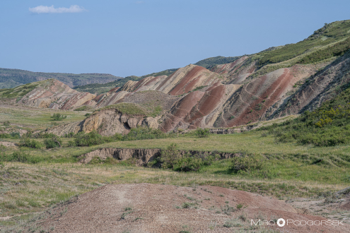 Barvite sipine Gareja