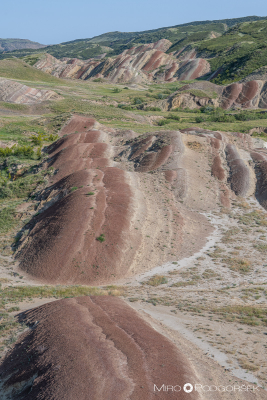 Barvite sipine Gareja