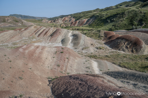 Barvite sipine Gareja