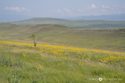Pokrajina Kakheti