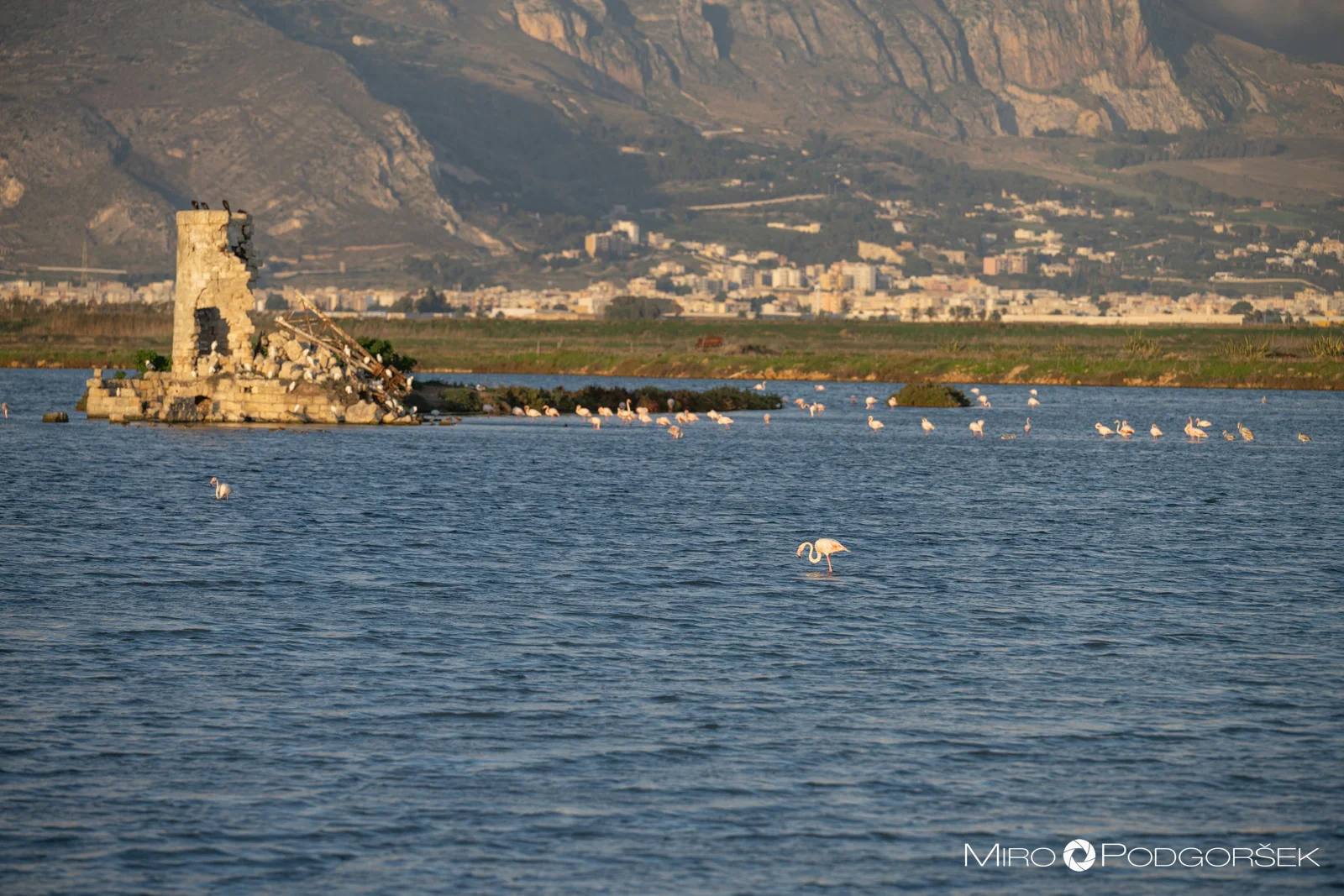 Soline Trapani
