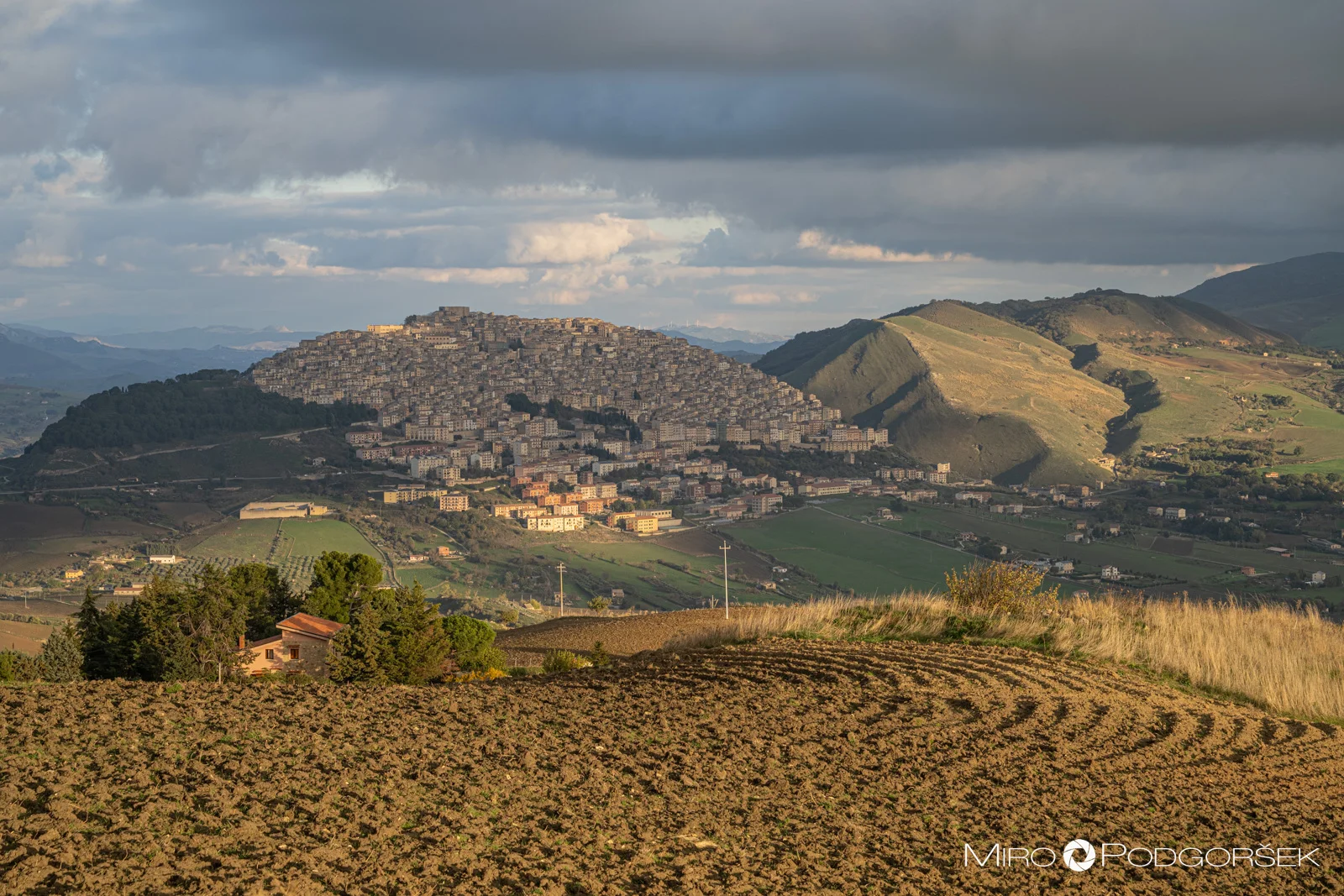 Gangi