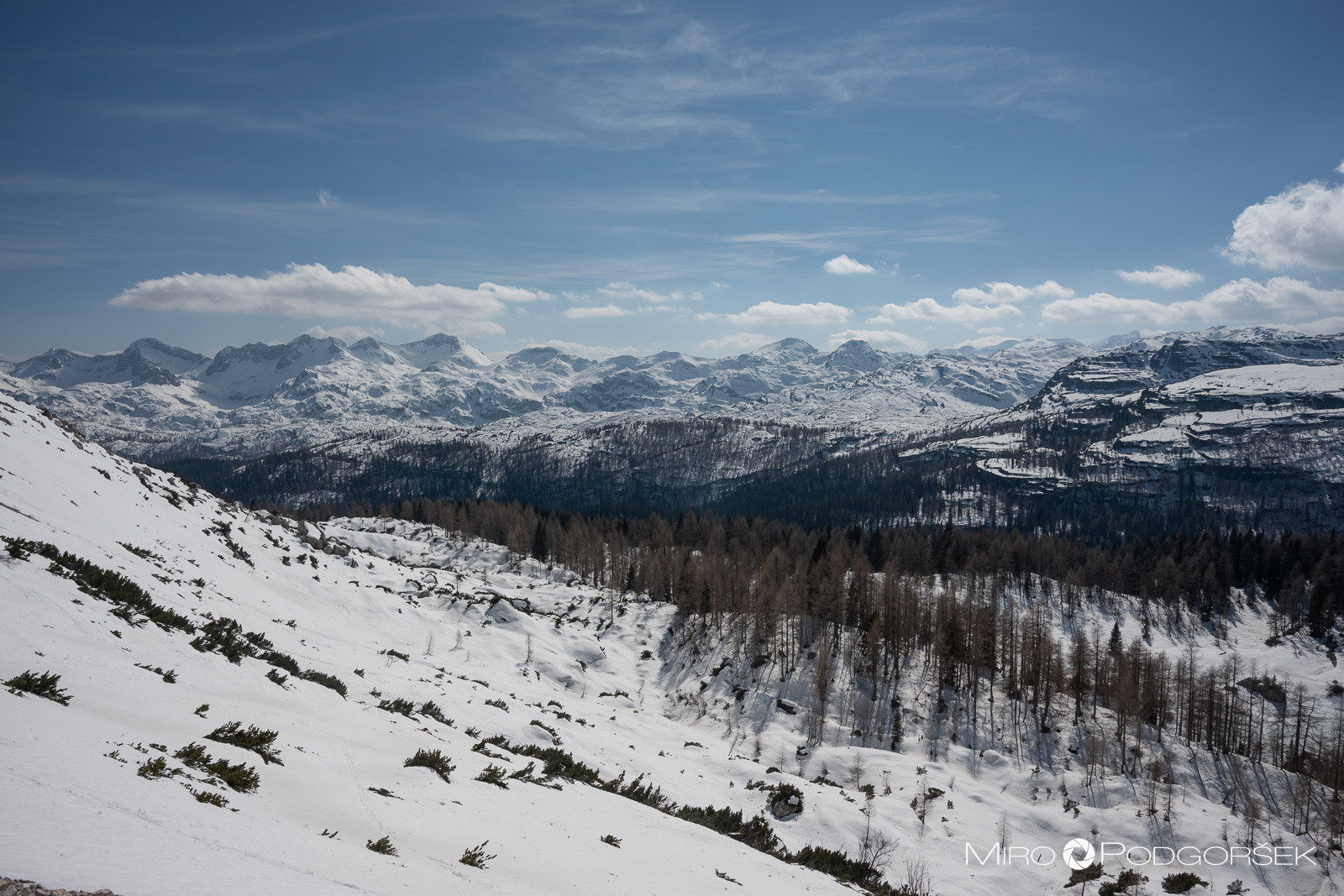 Spodnje Bohinjske gore
