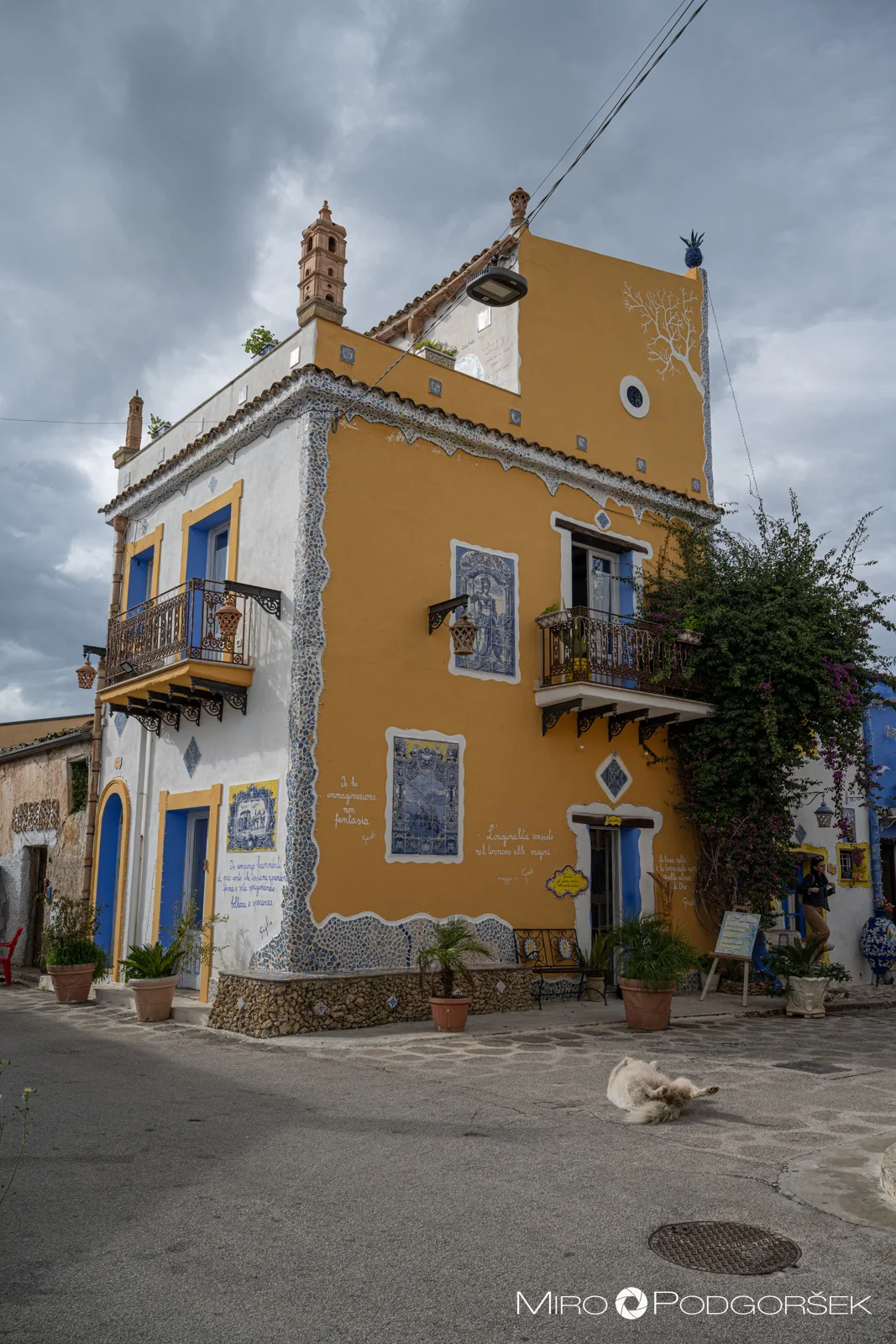 Parrini
